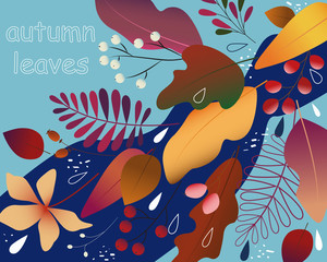 Autumn leaves fall, vector floral background with isolated falling leaf. Perfectly for border, banner, backdrop, card, poster, web design.