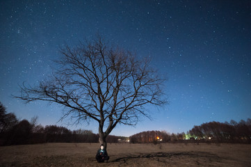 Lonely tree on meadow and stars in sky