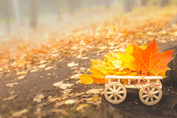 Autumn leaves on a wooden cart. soft selective focus
