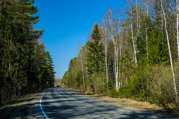Landscape with the image of country road in a forest