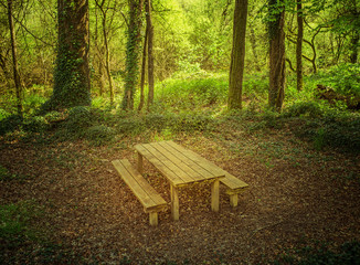 Schöner Platz im Wald für Picknick mit Tisch und Bänken aus Holz - Nice place in the forest for a picnic with a wooden table and benches