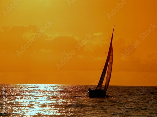 Fototapeta sailing to the sunset