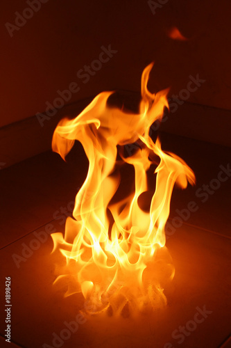 Fototapeta dancing flames