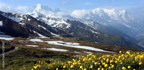 zielona-igla-mont-blanc-zolta-flora-im-39-py