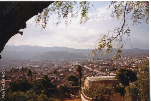 Poster view on the mountain city with a tree at the left, sucre, bolivi