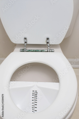 A medical urine hat in a toilet. Poster #F5584479 - PrintMePoster.com