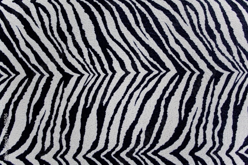  zebras texture can be used as background