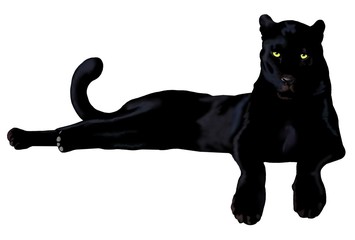 cerca immagini quot pantera nera quot cerca immagini quot pantera nera quot