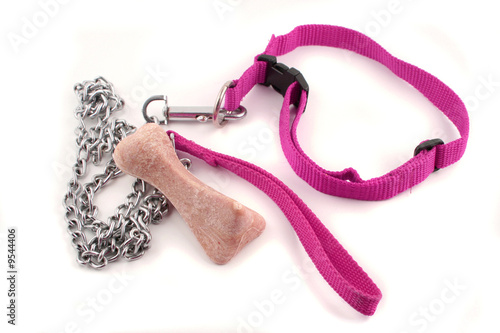 pink chain dog leash