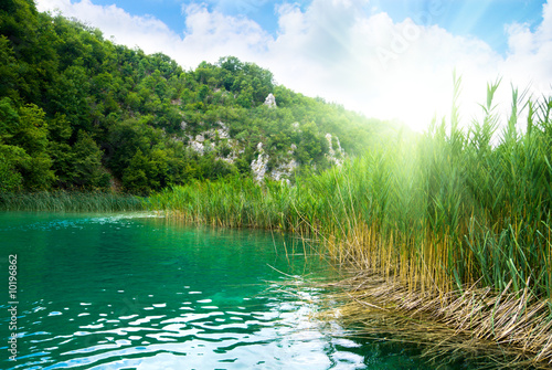 Fototapeta green water lake in deep forest