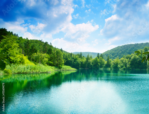 Fototapeta green water lake in forest