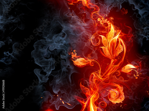 Lacobel Fiery flower