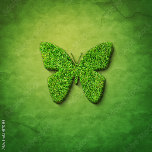 Fototapeta grass butterfly