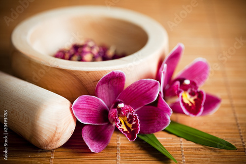 sklad-zen-kwiaty-orchidei-i-zaprawy-drewna