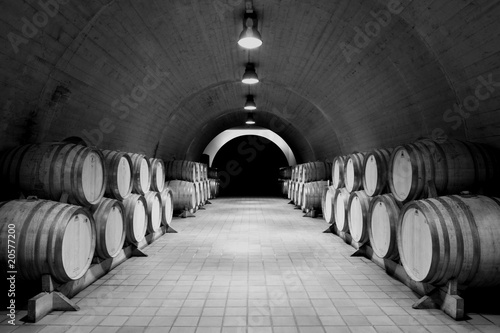 Poster Weinkeller,Bodega,Albarino,Rias Baixas,Galizien,Spanien