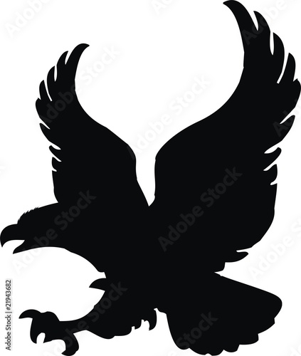  american eagle