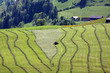 Landwirtschaft