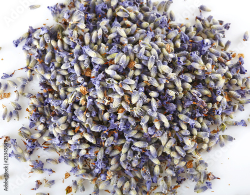 400_F_23345849_fwVy71Pqr8DqYxrTituFOJNgQ