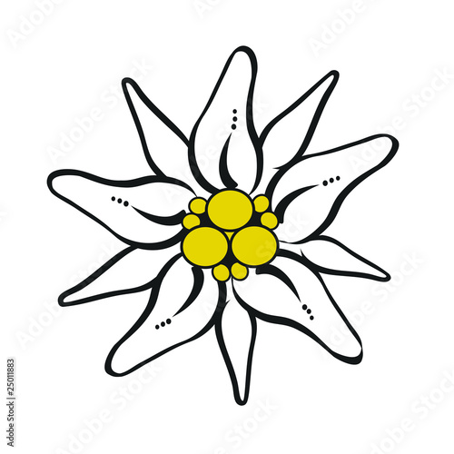 &quot;Gebirgsblume Edelweiß Freigestellt&quot; Stockfotos und