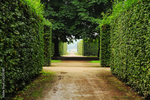 zabezpieczenie-w-castlegarden
