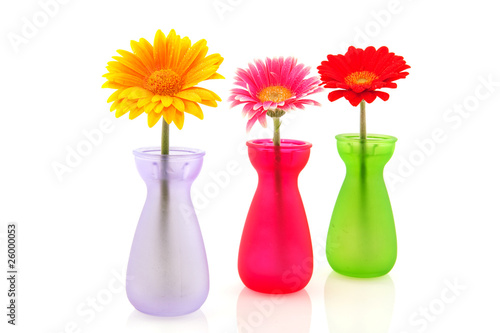 Fototapeta Colorful Gerber flowers