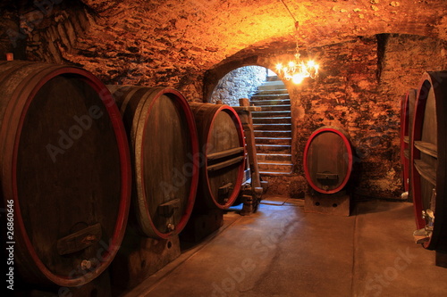 stara-piwnica-na-wino-czerwone-wino-beczki-barrique-debowe-beczki