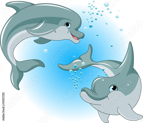 Bild Tier - Aqua - Säugetiere