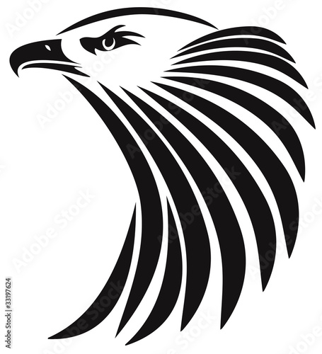 Fototapeta head of eagle