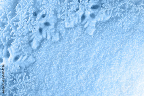 étoiles de neige et poudreuse fond bleu © Sébastien Garcia