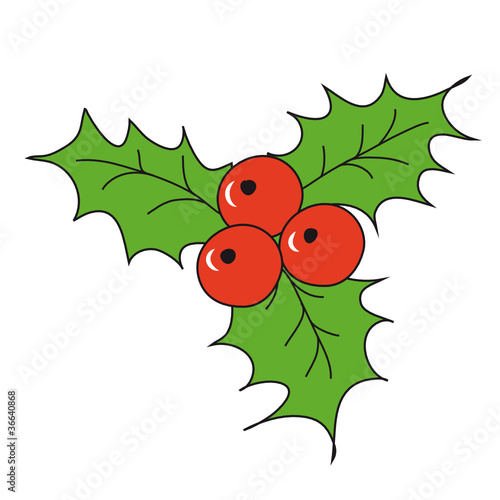 Ilex Blatt Malvorlage Ilex Blatt Malvorlage