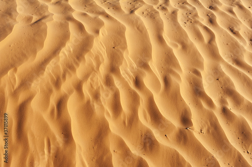 Fototapeta Detail of desert dune