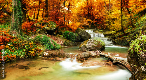 jesien-creek-lasy-z-zoltymi-drzewami