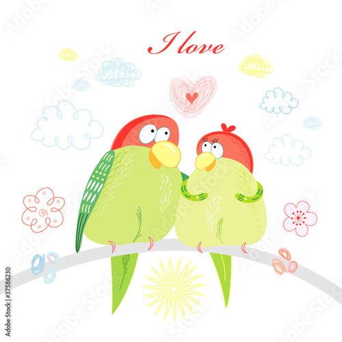 Lacobel fun loving parrots