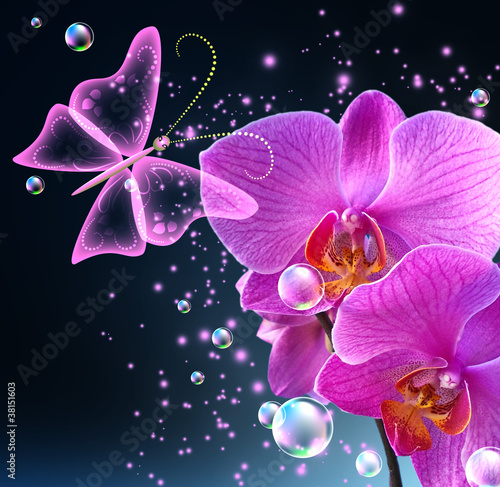 Fototapeta Orchid and butterfly