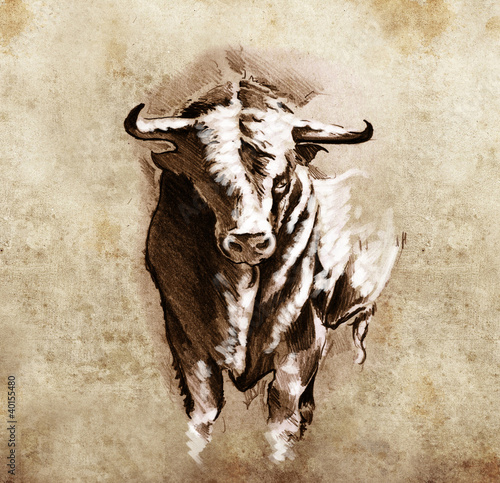 Fototapeta Sketch of tattoo art, spanish bull, dangerous bull with beaked h
