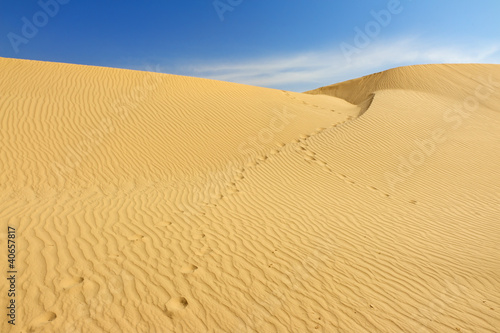 Fototapeta Sand dunes in Sahara
