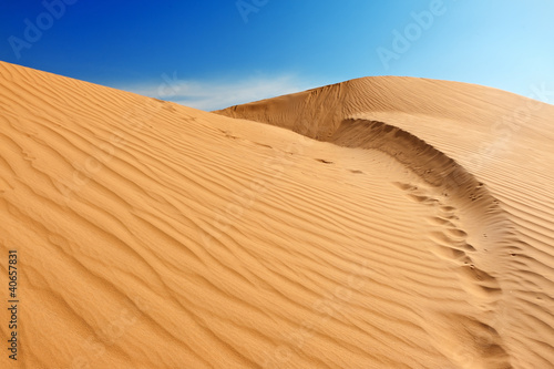 Fototapeta Sand dunes in Sahara