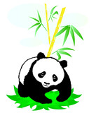 Panda on a background of bamboo