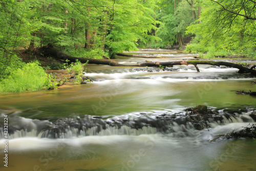 reserve-nad-tanwia-tanew-river-roztocze