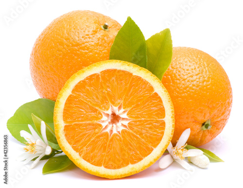 Orangen © Christian Jung