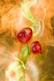 smoke flower on  fire background