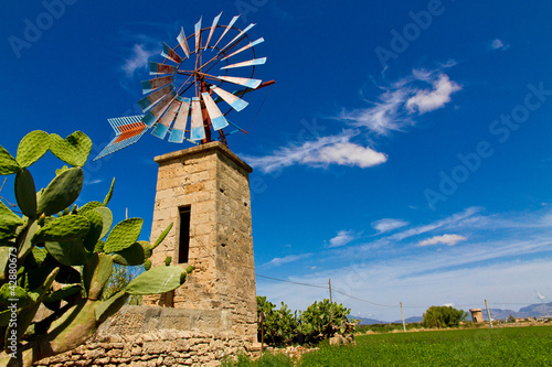 Fototapeta Windmühle auf Mallorca