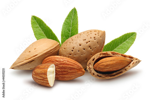 almonds, shelled almonds and leaves © mates