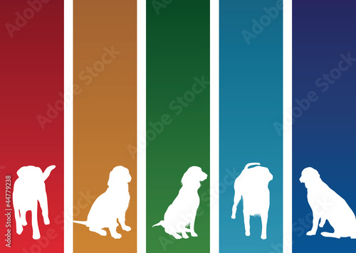colourful dog banners