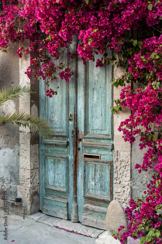 stare-drewniane-drzwi-z-bougainvillea-na-cyprze