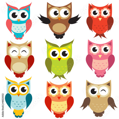 Fototapeta set of owls