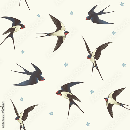 Fototapeta Pattern with swallows