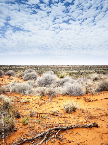 Fototapeta outback