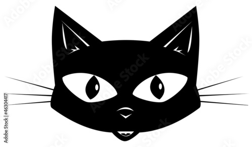 Fototapeta The black cat