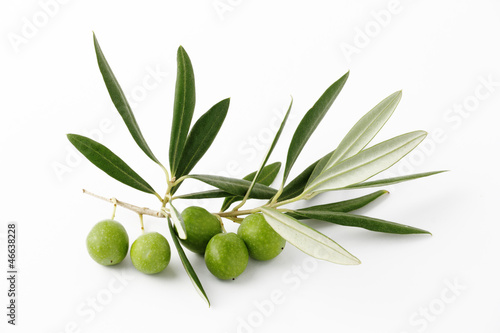  Olive verdi e ramoscelli - Olive green and twigs